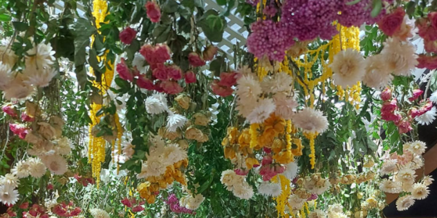 Cómo secar flores 5 Pasos para hacerlo en casa