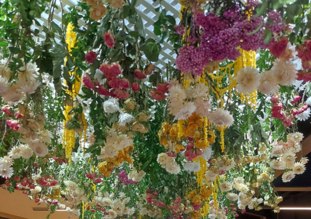 Cómo secar flores 5 Pasos para hacerlo en casa