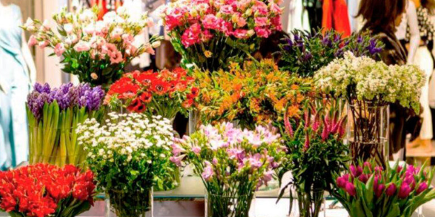 Jarrones con flores Consigue crear diseños increibles