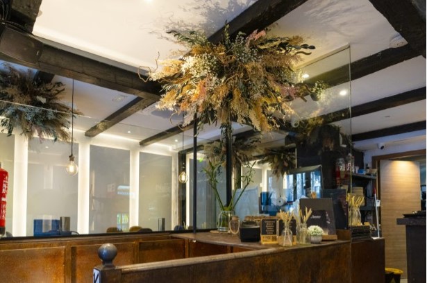 Plantas de interior que no necesitan luz