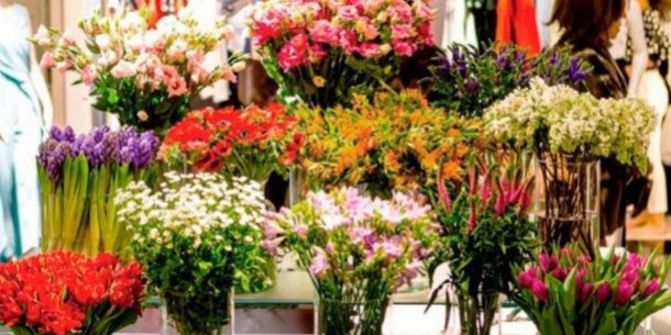 El Lenguaje de las Flores Descifrando su Significado y Simbolismo (1)