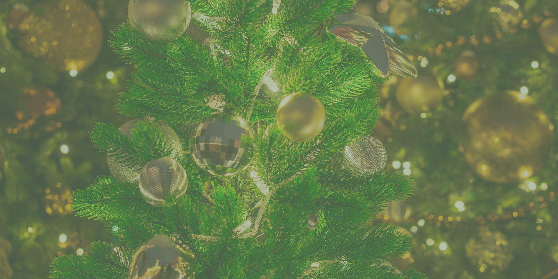 decorar-un-local-en-navidad-con-flores Decorar un local con flores en navidad