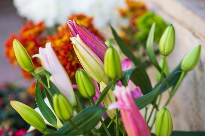 Flores tendencia para eventos en 2026