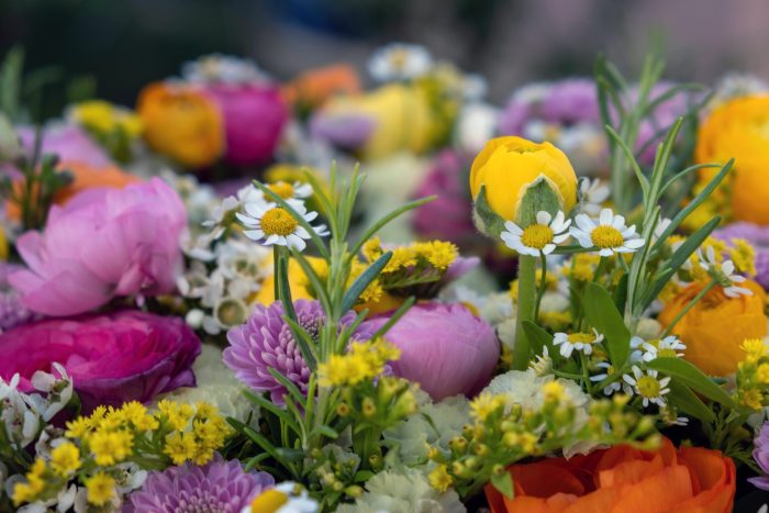 Errores florales comunes y cómo evitarlos